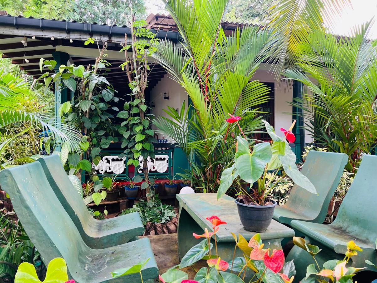Sigiri Budget Homestay Sigiriya Exterior photo