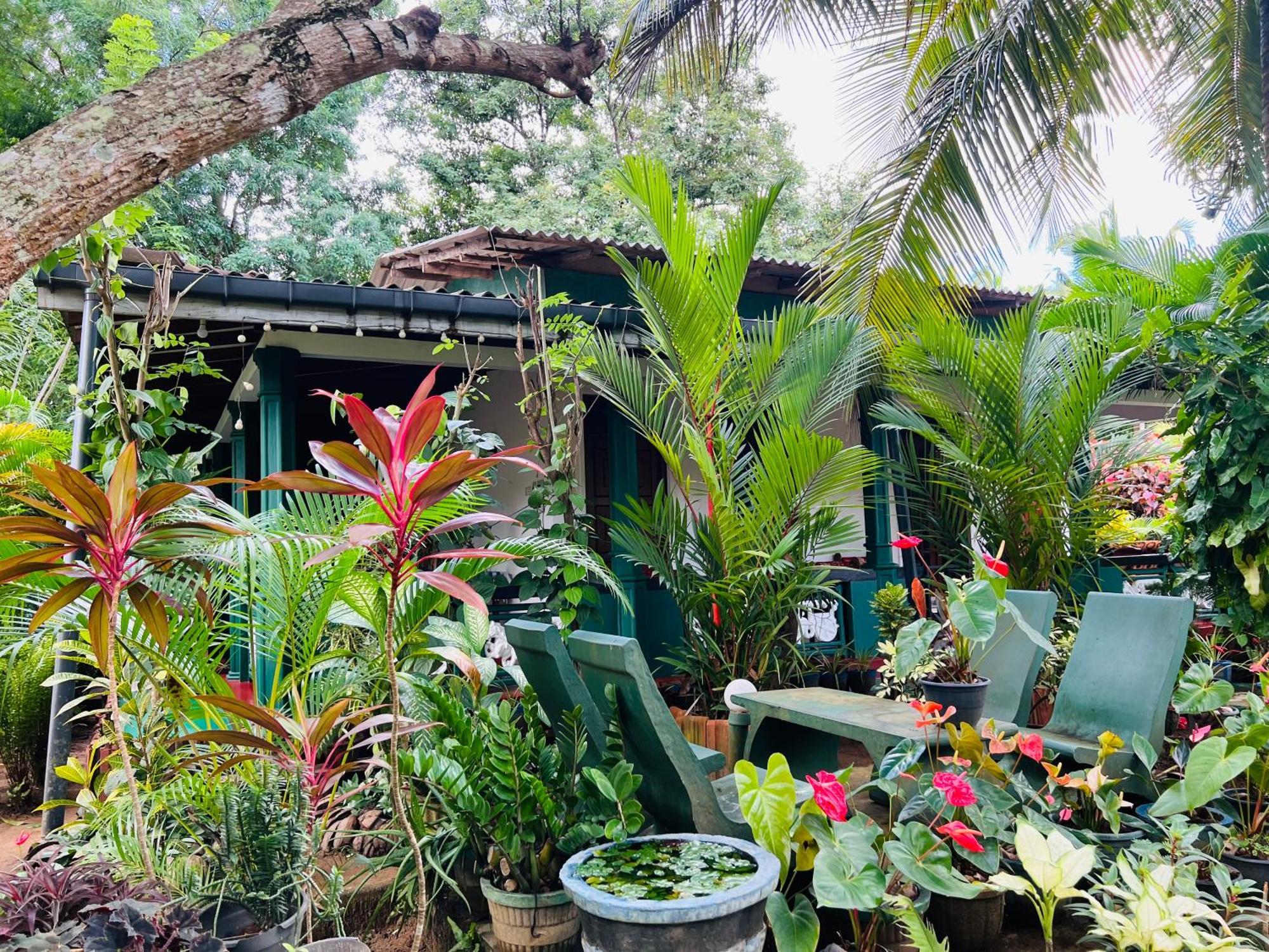 Sigiri Budget Homestay Sigiriya Exterior photo